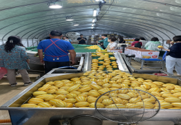 산지체험 교육('25.6.13)